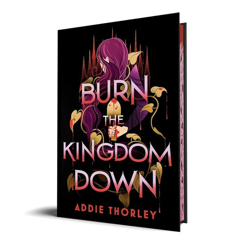 Burn the Kingdom Down cover image